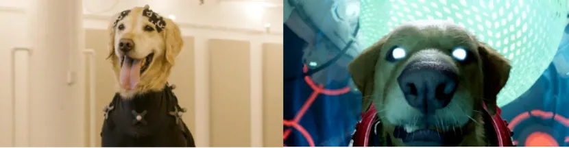 壹定发(中国游)最新官方网站