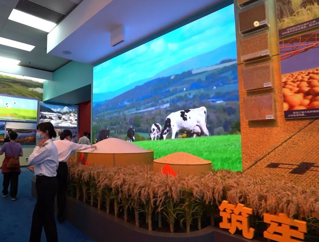 壹定发(中国游)最新官方网站