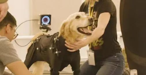 壹定发(中国游)最新官方网站